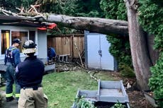 Una muerta, cortes de luz y árboles derribados por tormenta en el noroeste de EEUU