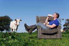 ¿344 libras por un café? Granja escocesa vende la taza más cara del Reino Unido