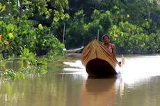 Belem, sede de la próxima cumbre climática COP30, padece contaminación y violencia