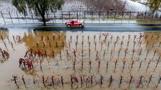 Tormenta cubre el norte de California con lluvia y nieve. Miles siguen sin luz en Seattle