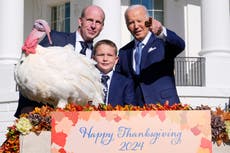 Biden indulta a pavos en su última Navidad en la Casa Blanca y la primera dama recibe el árbol