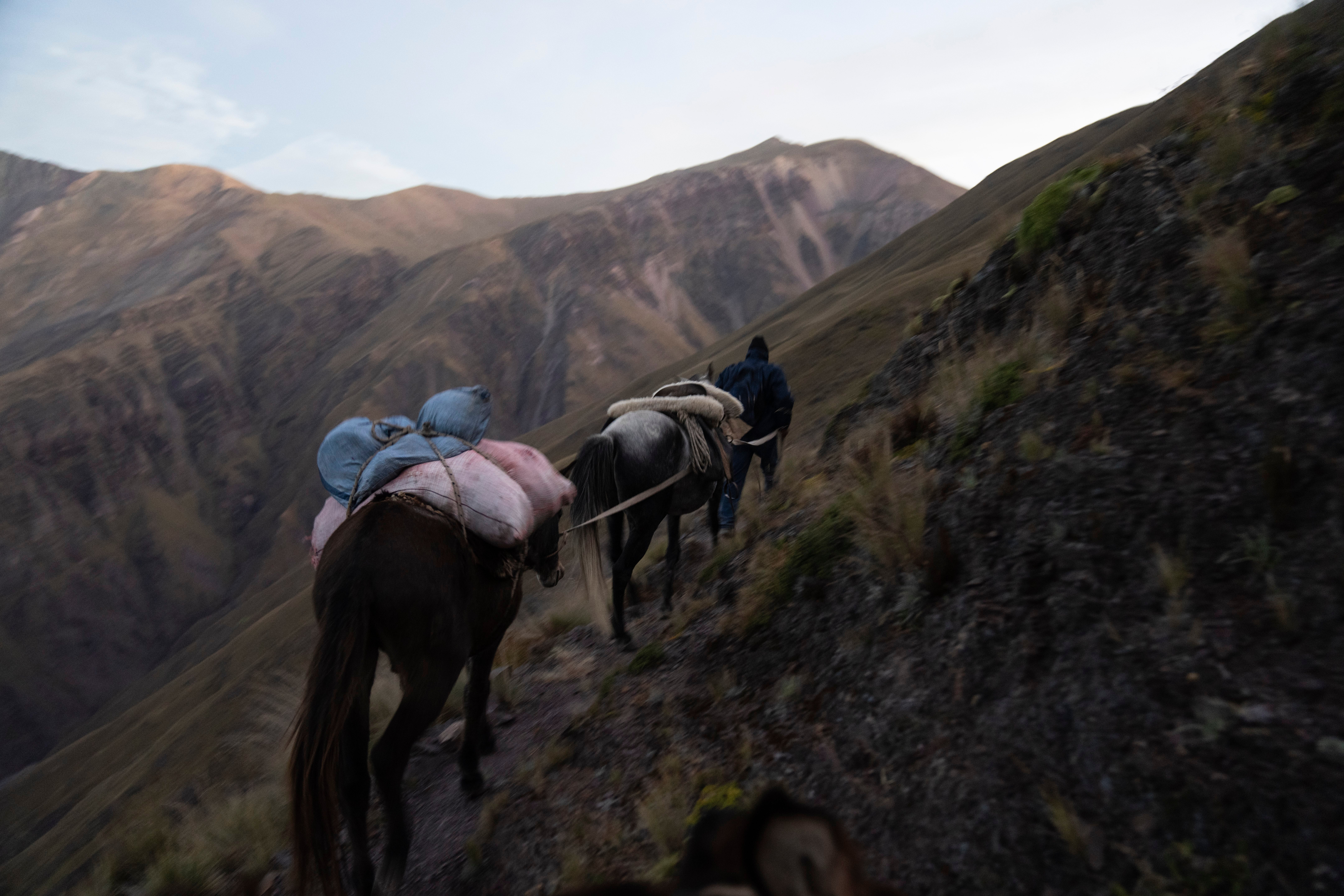 ARGENTINA-MÉDICO RURAL