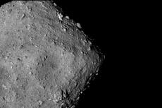 Robot chino inspirado en un gato permitiría minar asteroides, afirman científicos