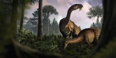 Heces y vómito de dinosaurios ayudan a científicos a reconstruir su ascenso