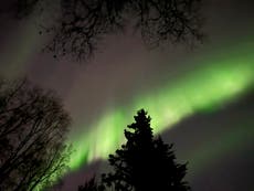 Luces del norte podrían verse levemente en partes de EEUU este Día de Acción de Gracias