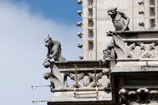 Cinco datos curiosos sobre la Catedral de Notre Dame en París