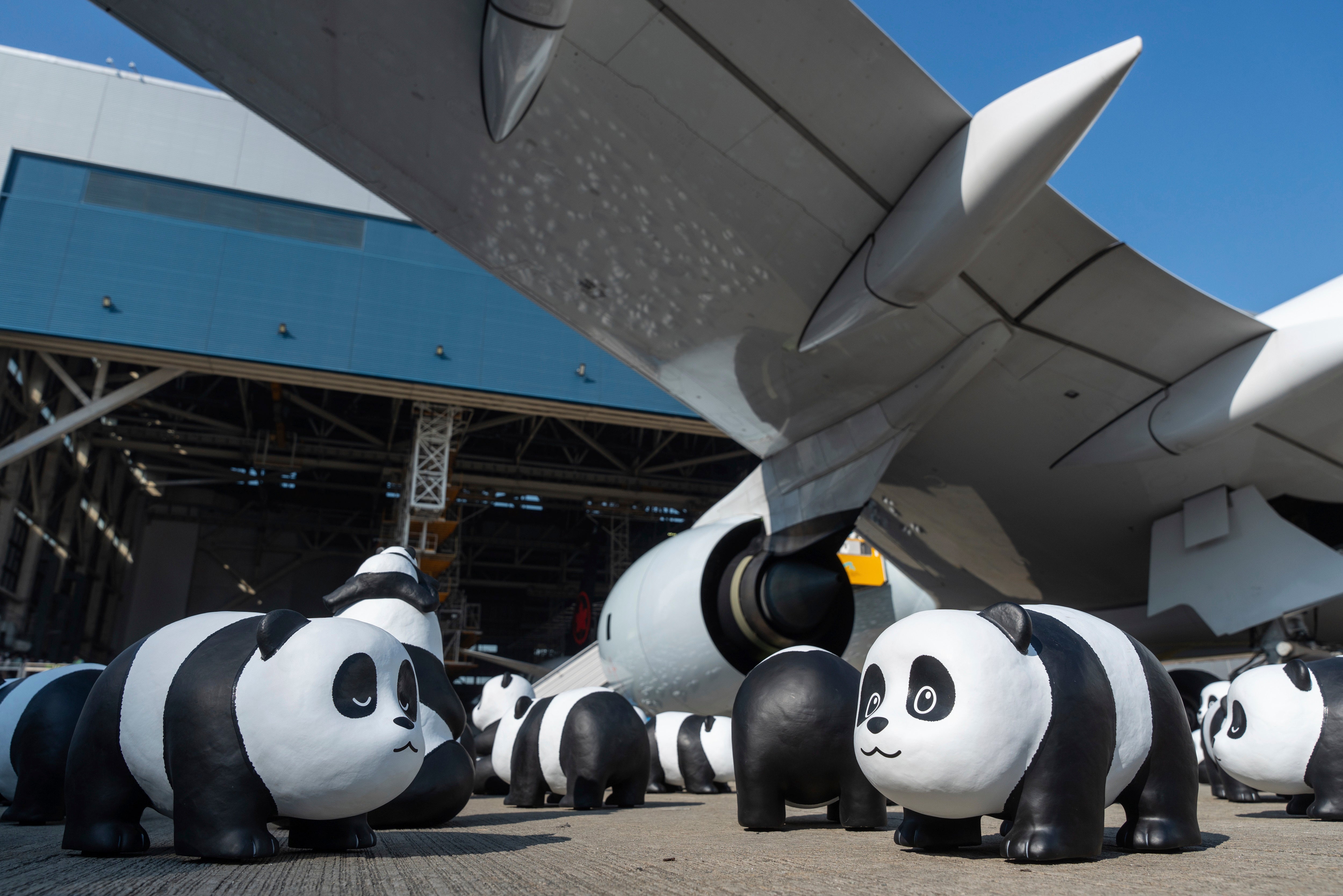 FOTOGALERÍA-HONG KONG-OSOS PANDA