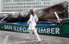 La UE aplaza un año su ley contra la deforestación tras protestas de productores globales