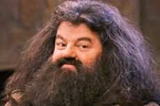 La serie de Harry Potter está a punto de dar el papel de Hagrid a esta estrella