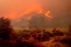 California se prepara para cortar electricidad ante retorno de vientos