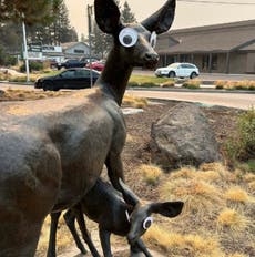 Esculturas con misteriosos ojos saltones provocan risas y se viralizan en la ciudad de Bend, Oregon