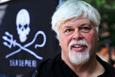 Dinamarca libera al activista contra la caza de ballenas Paul Watson y no lo extraditará a Japón