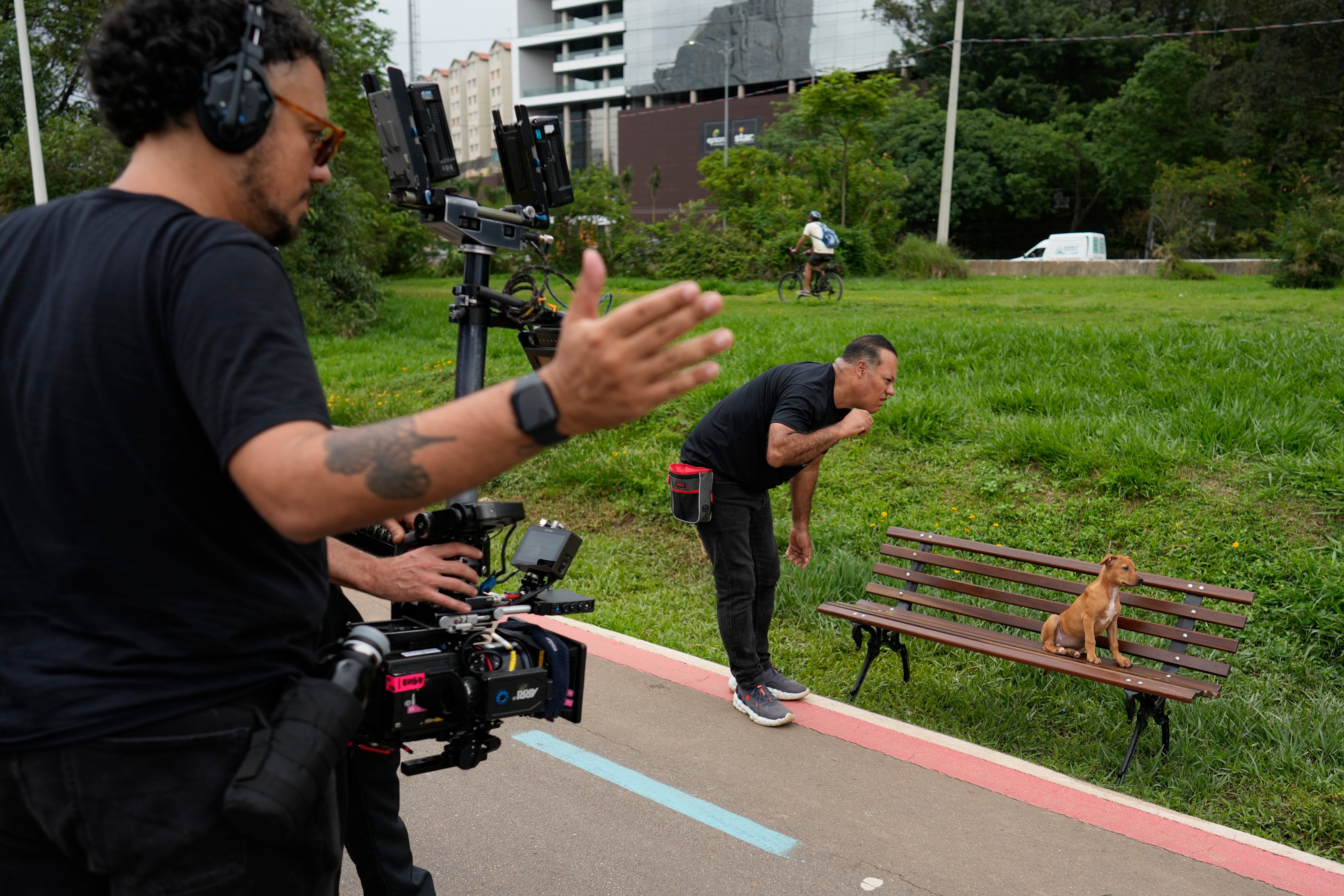 Olvide el fútbol y la samba. Este perro callejero color caramelo es el nuevo ícono de Brasil