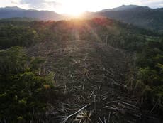 Comunidad indígena de la Amazonía peruana gana última etapa judicial por territorio perdido