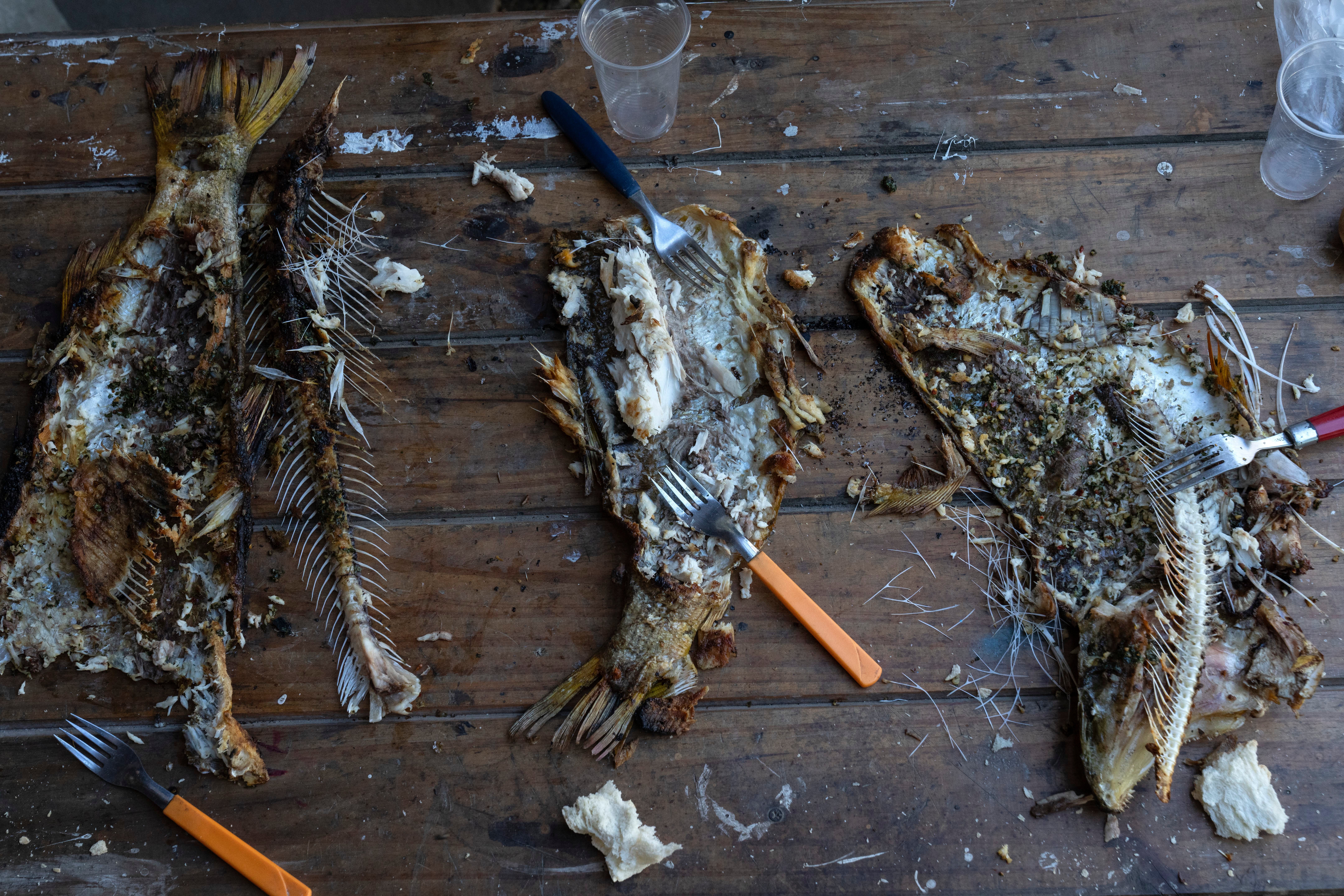 ARGENTINA-VÍA FLUVIAL PARANÁ-PARAGUAY-FOTOGALERIA