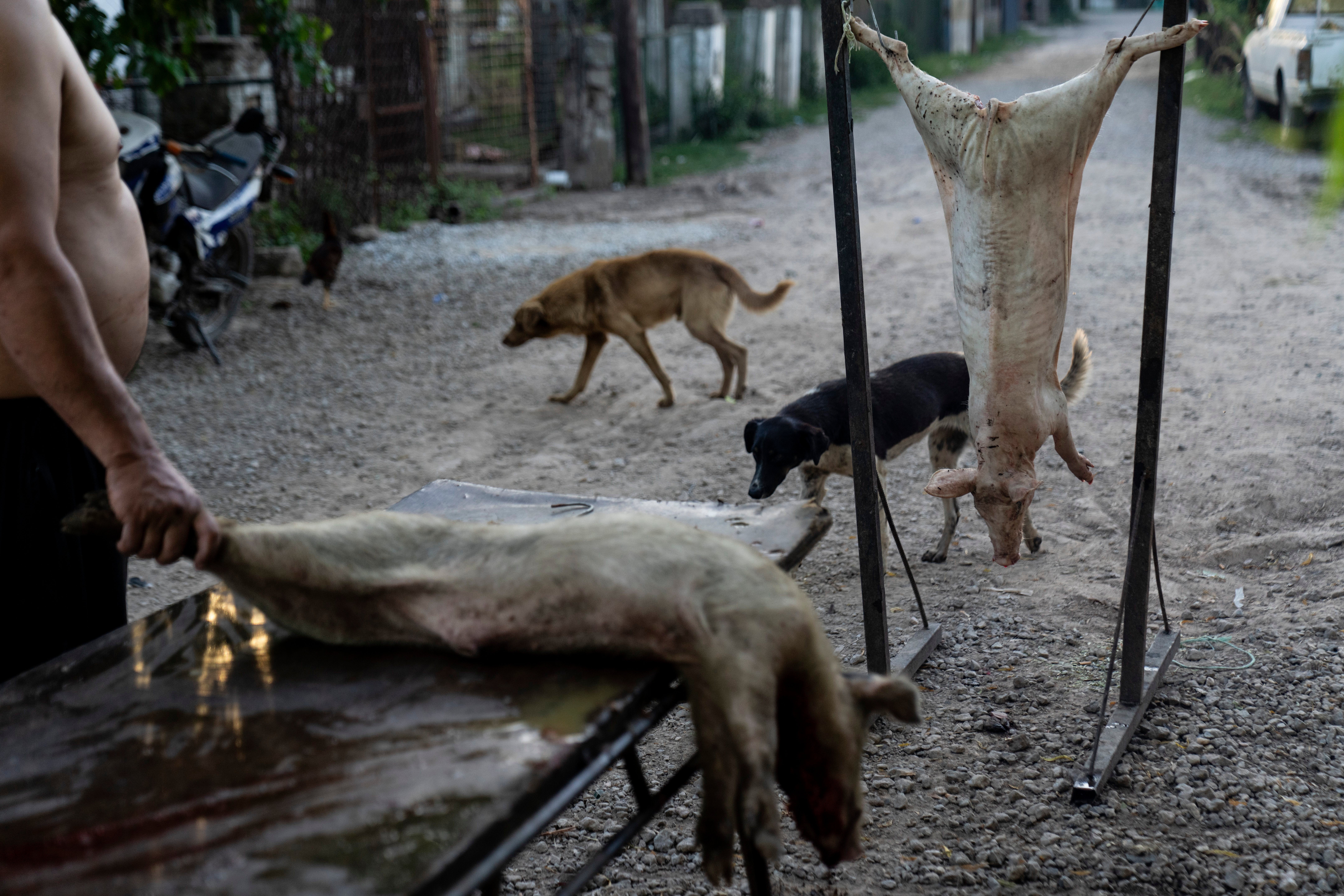 ARGENTINA-VÍA FLUVIAL PARANÁ-PARAGUAY-FOTOGALERIA