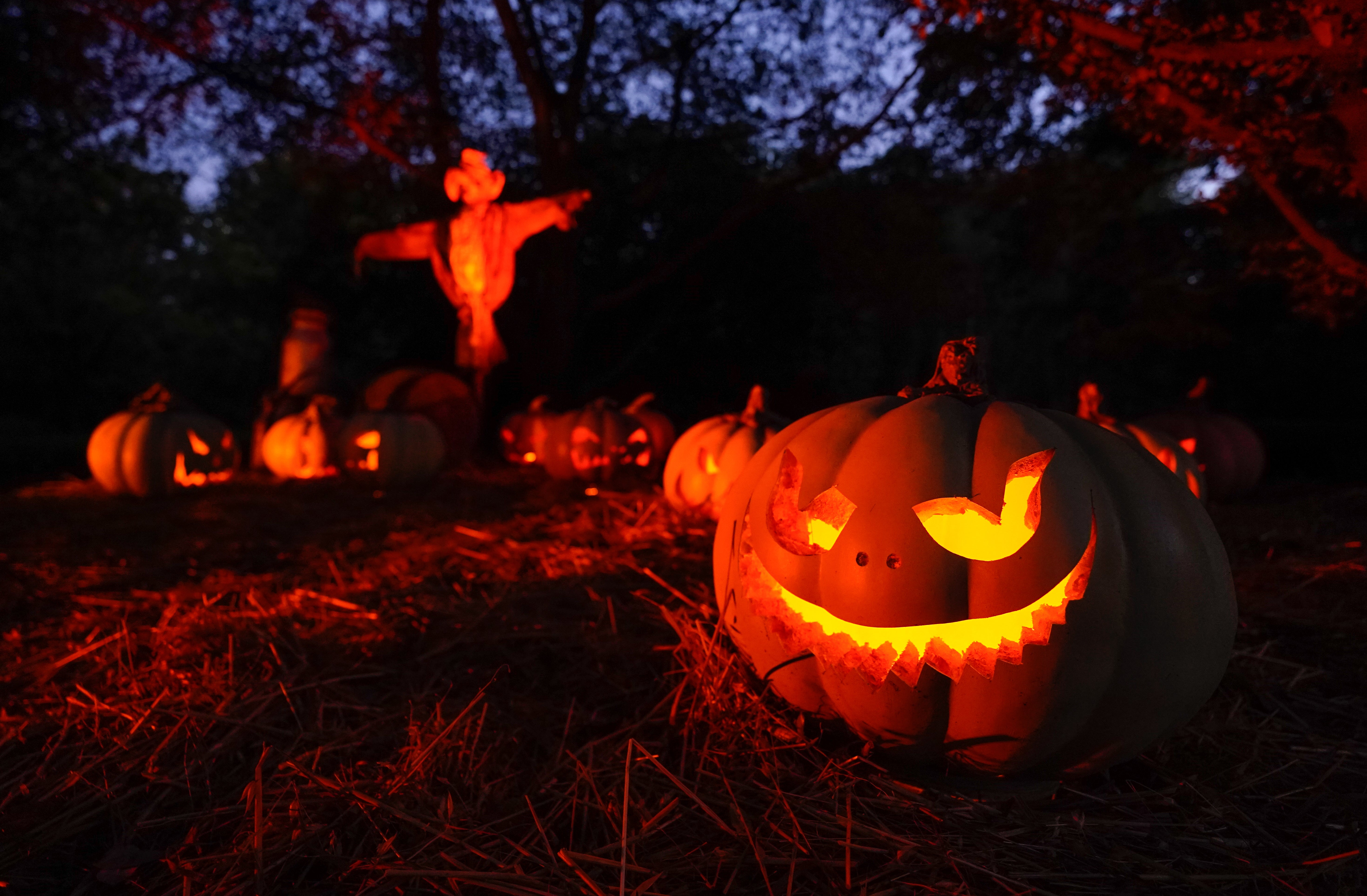 Calabazas en la Granja Embrujada, parte del recorrido de Halloween en los Jardines Botánicos Reales de Kew