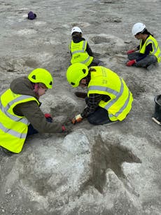 Descubren en Inglaterra huellas de “autopista de dinosaurios” de hace 166 millones de años