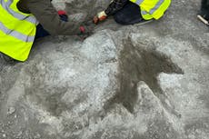 Descubren en Inglaterra huellas de “autopista de dinosaurios” de hace 166 millones de años