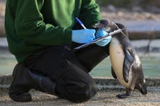 Zoo de Londres cuenta a sus residentes en el inventario anual