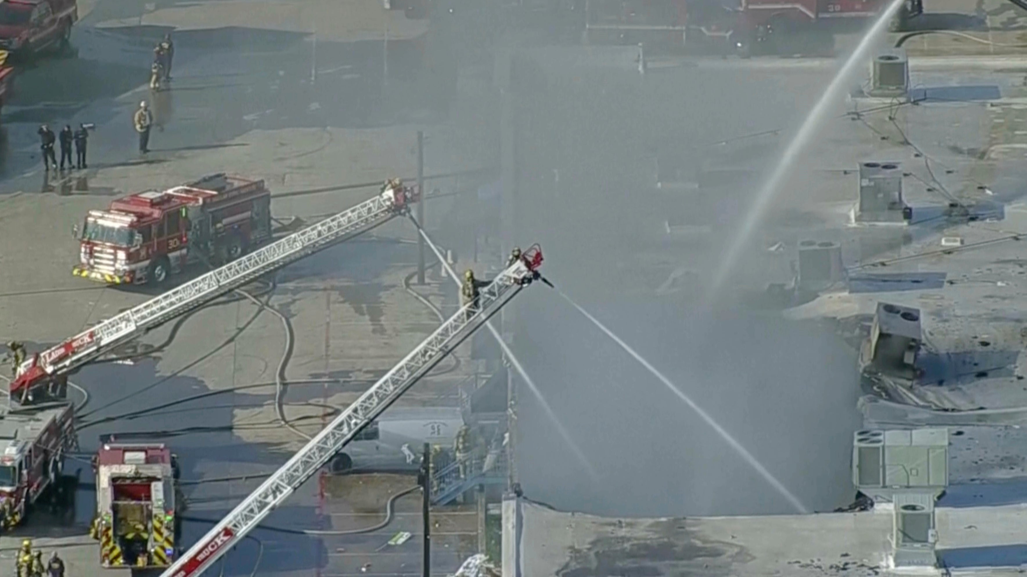 DALLAS INCENDIO ANIMALES MUERTOS