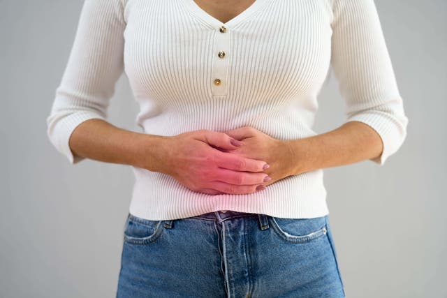 <p>Según investigadores, esta bacteria está detrás de millones de casos de cáncer de estómago en el mundo</p>