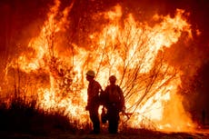 ¿Qué se sabe sobre el sospechoso detenido por los incendios de Los Ángeles?