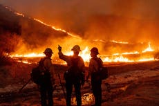 ¿Por qué se producen tantos incendios forestales en California? 