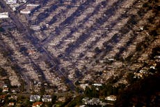 Steve Guttenberg regresa a su barrio devastado por incendios en Los Ángeles