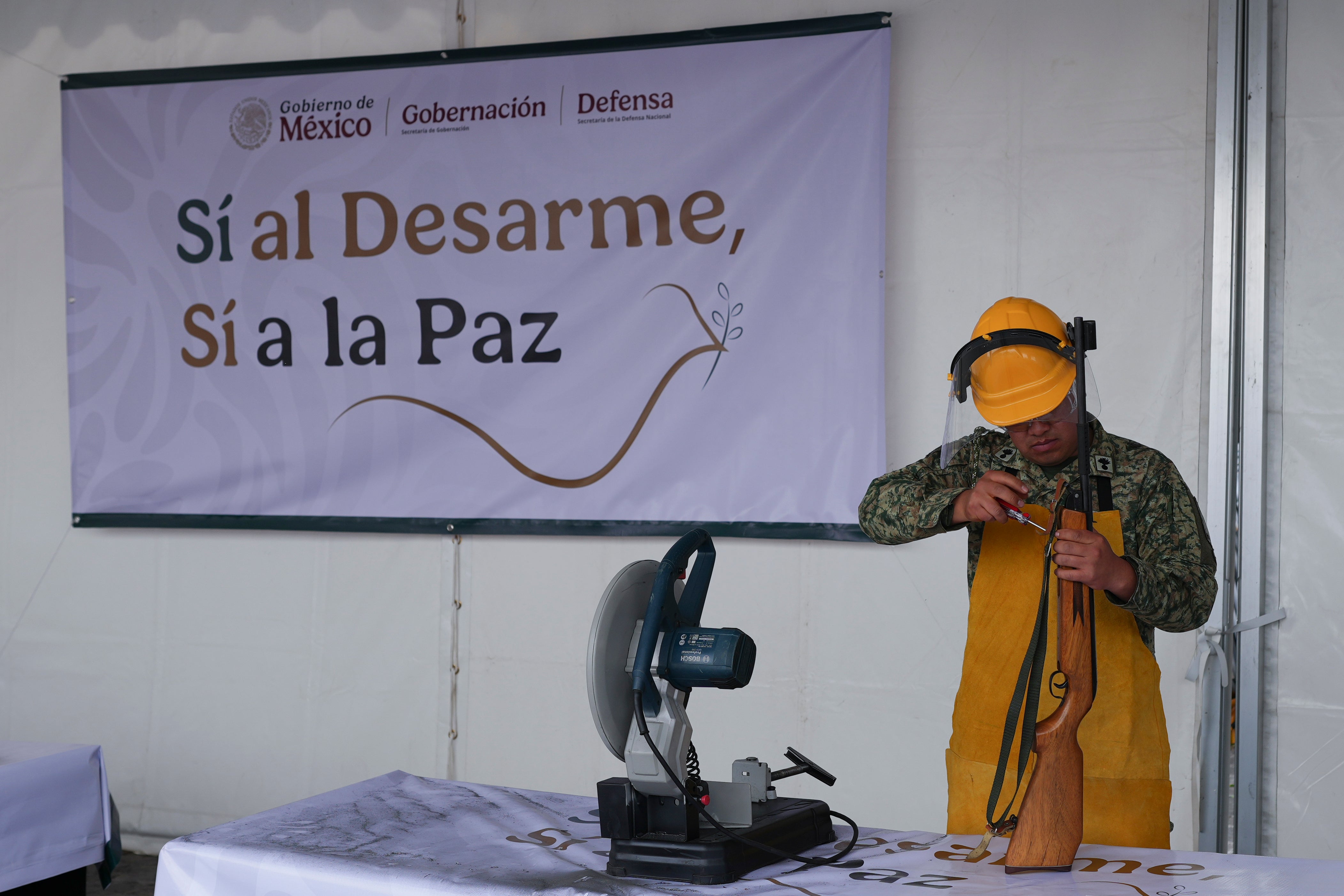 MÉXICO-PLAN DE DESARME