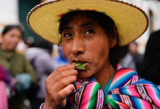 Presidente de Bolivia mastica coca para reivindicar a esa planta penalizada por la ONU