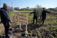 Activistas palestinos dedican olivar en Cisjordania a Jimmy Carter