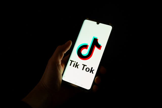 <p>Aplicación de TikTok</p>