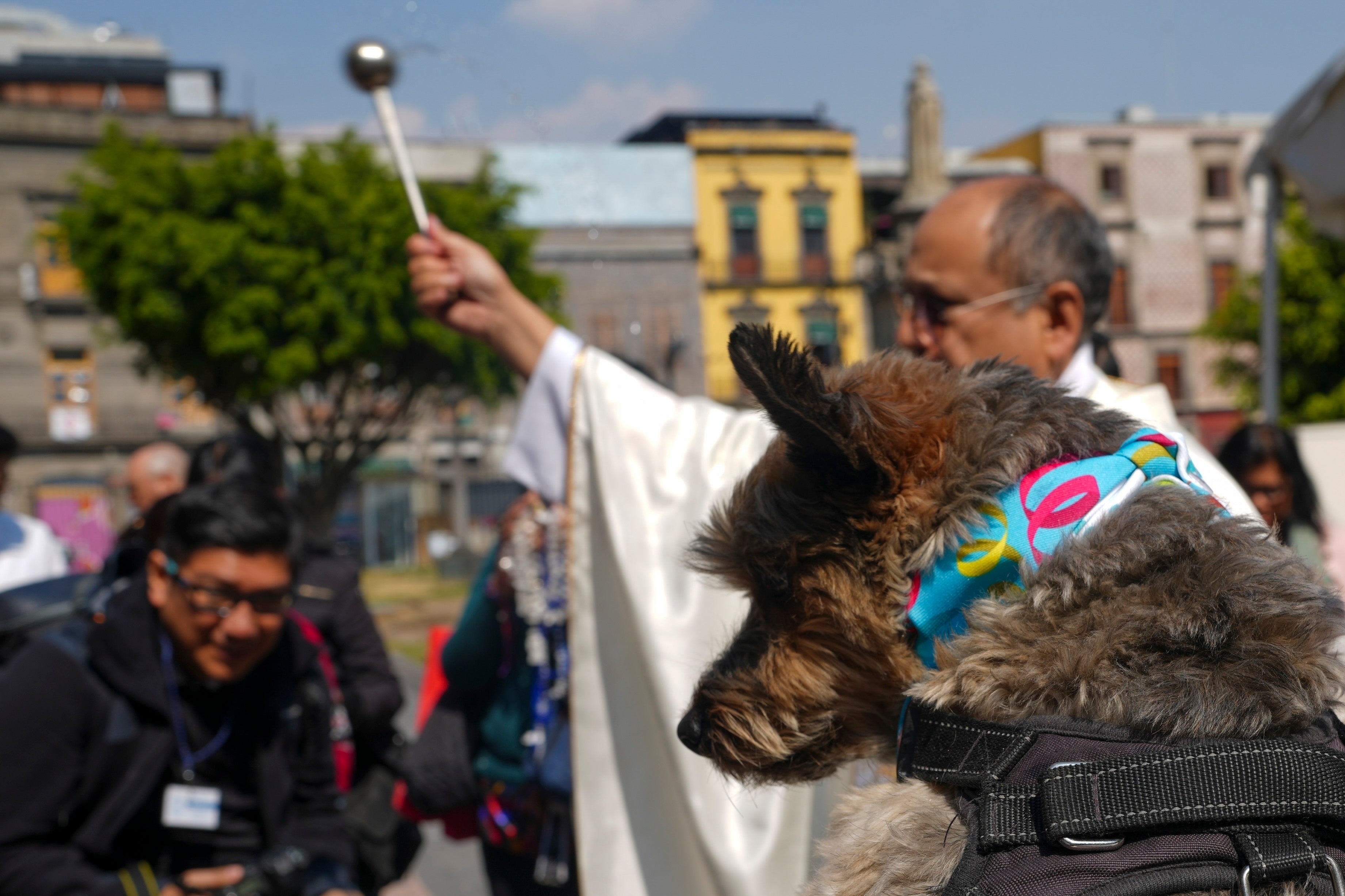 MÉXICO-LA BENDICIÓN DE LOS ANIMALES