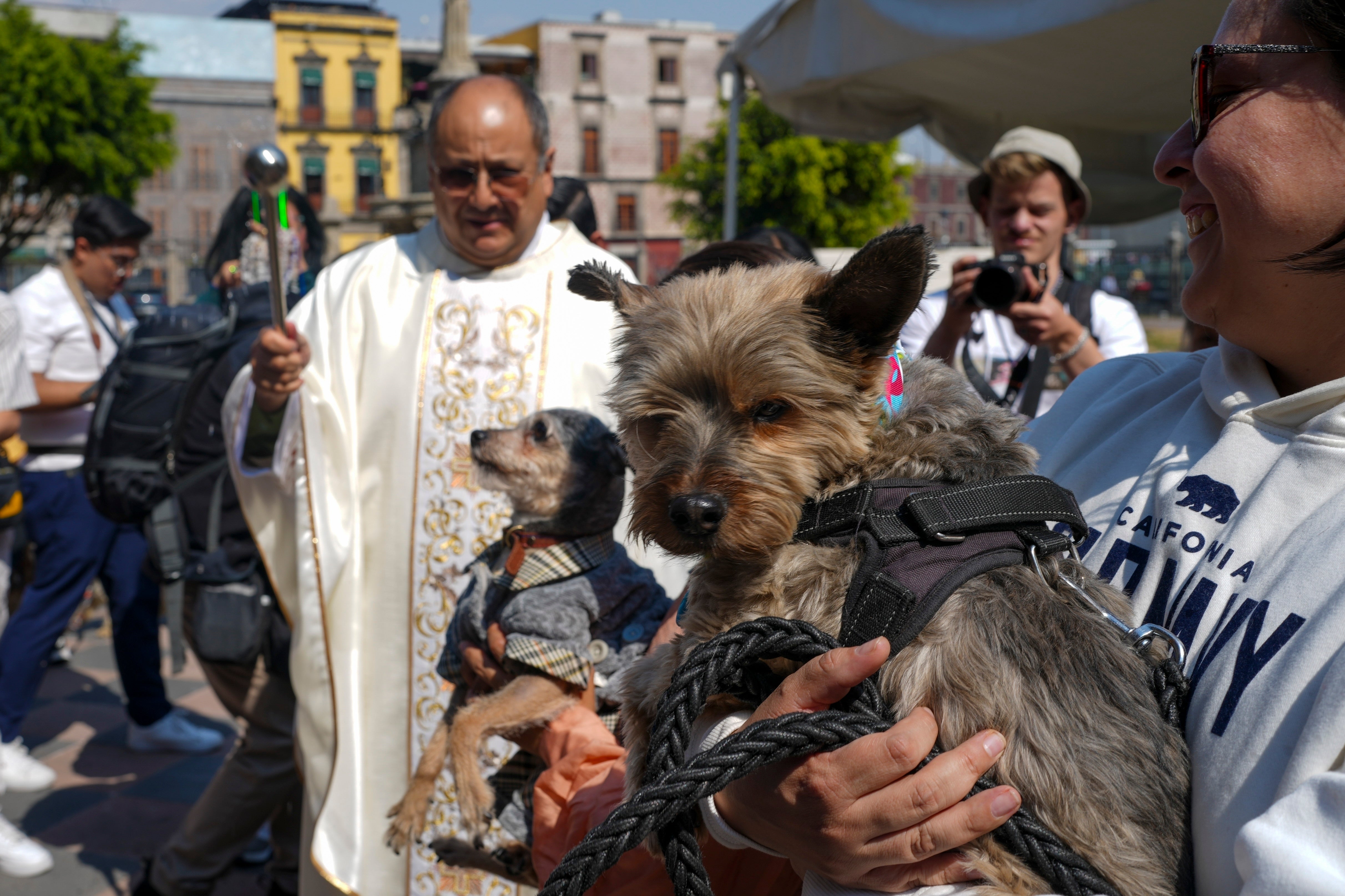 MÉXICO-LA BENDICIÓN DE LOS ANIMALES