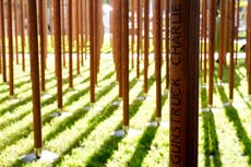 Homenajean en Sudáfrica a soldados negros caídos en la I Guerra Mundial