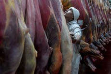 AP Fotos: Las mejores fotos de la semana en América Latina