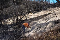 Lluvias en California ayudarán a bomberos pero podrían generar escurrimiento de cenizas tóxicas