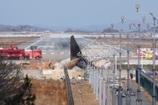 Hallan restos de aves en motores del avión accidentado en Corea del Sur