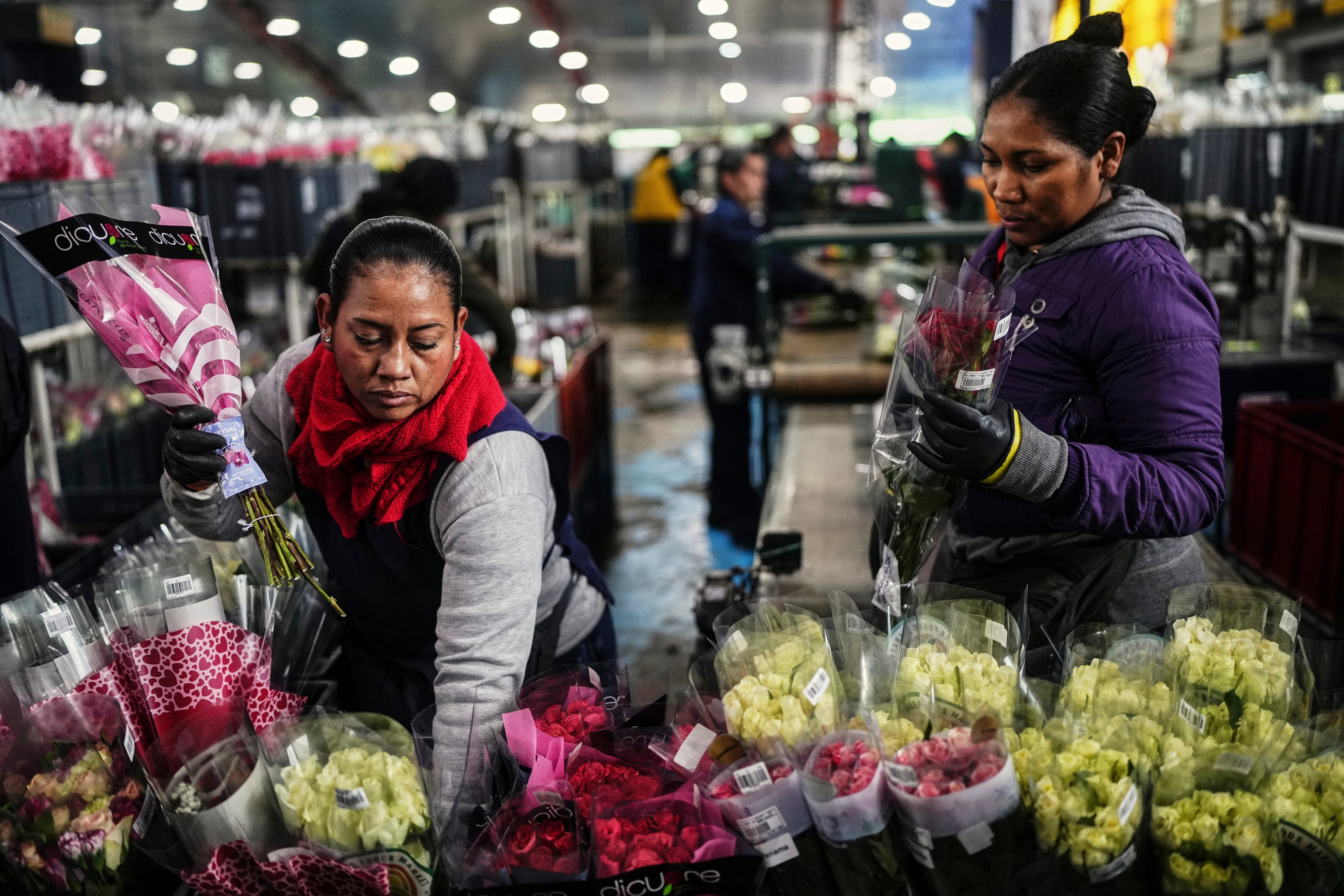 COLOMBIA-EEUU FLORES