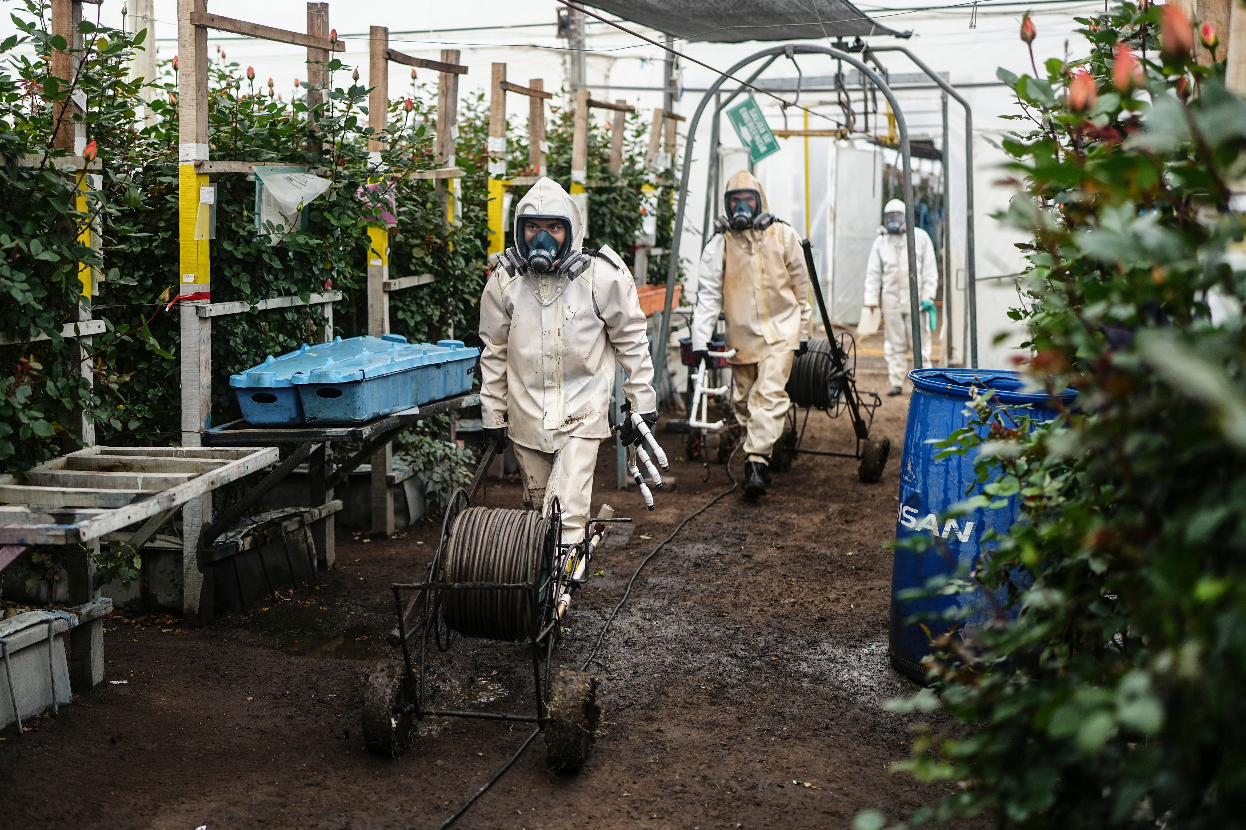 COLOMBIA-EEUU FLORES