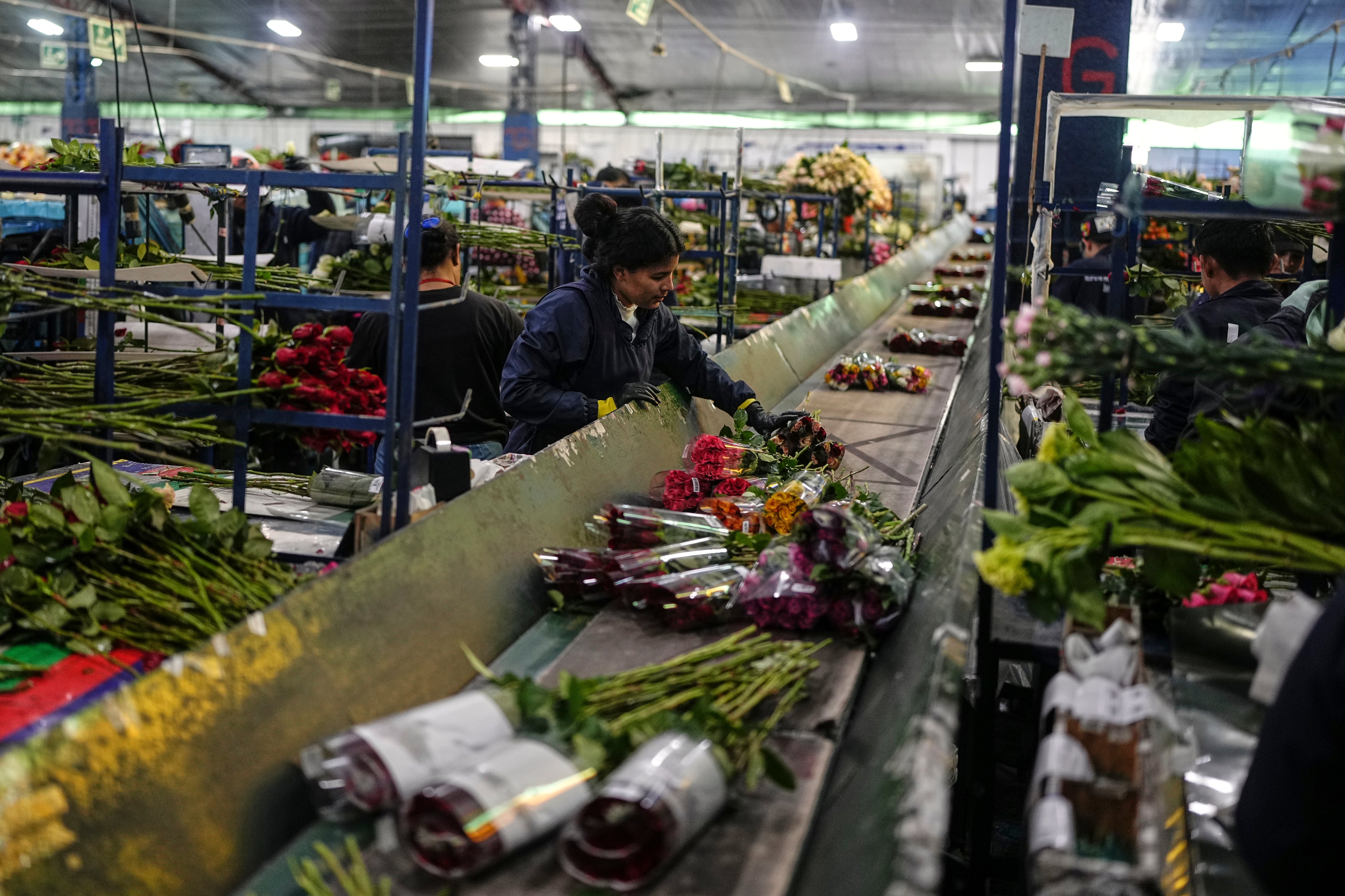 COLOMBIA-EEUU FLORES