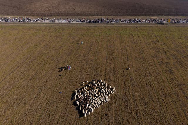 EUR-GEN SERBIA-PROTESTAS