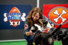 Entrenadora del "Puppy Bowl" comparte sus secretos detrás de cámara