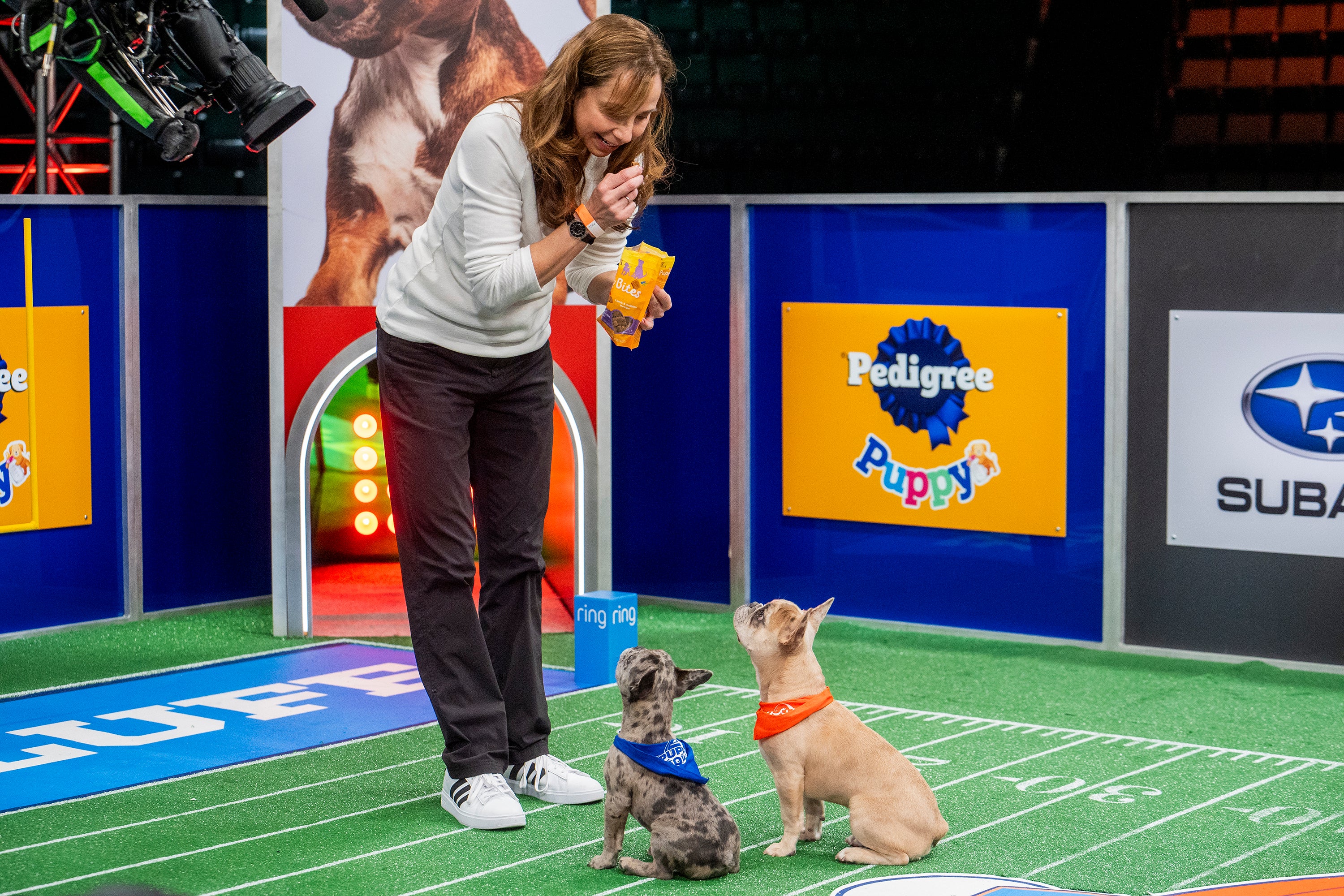 PUPPY BOWL
