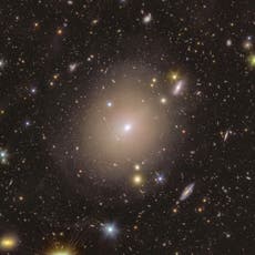 Telescopio espacial Euclid detecta anillo de luz alrededor de galaxia