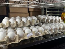 Los precios de los huevos en EEUU alcanzan un récord de 4,95 dólares y seguirán subiendo