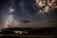 Nuevo estudio desafía la idea de que la vida inteligente en la Tierra es un accidente