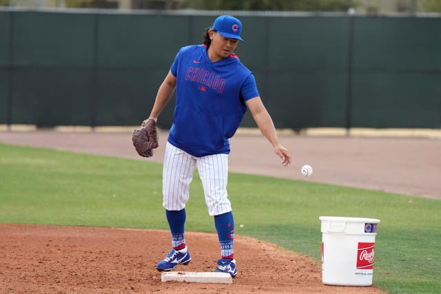 CACHORROS BEISBOL