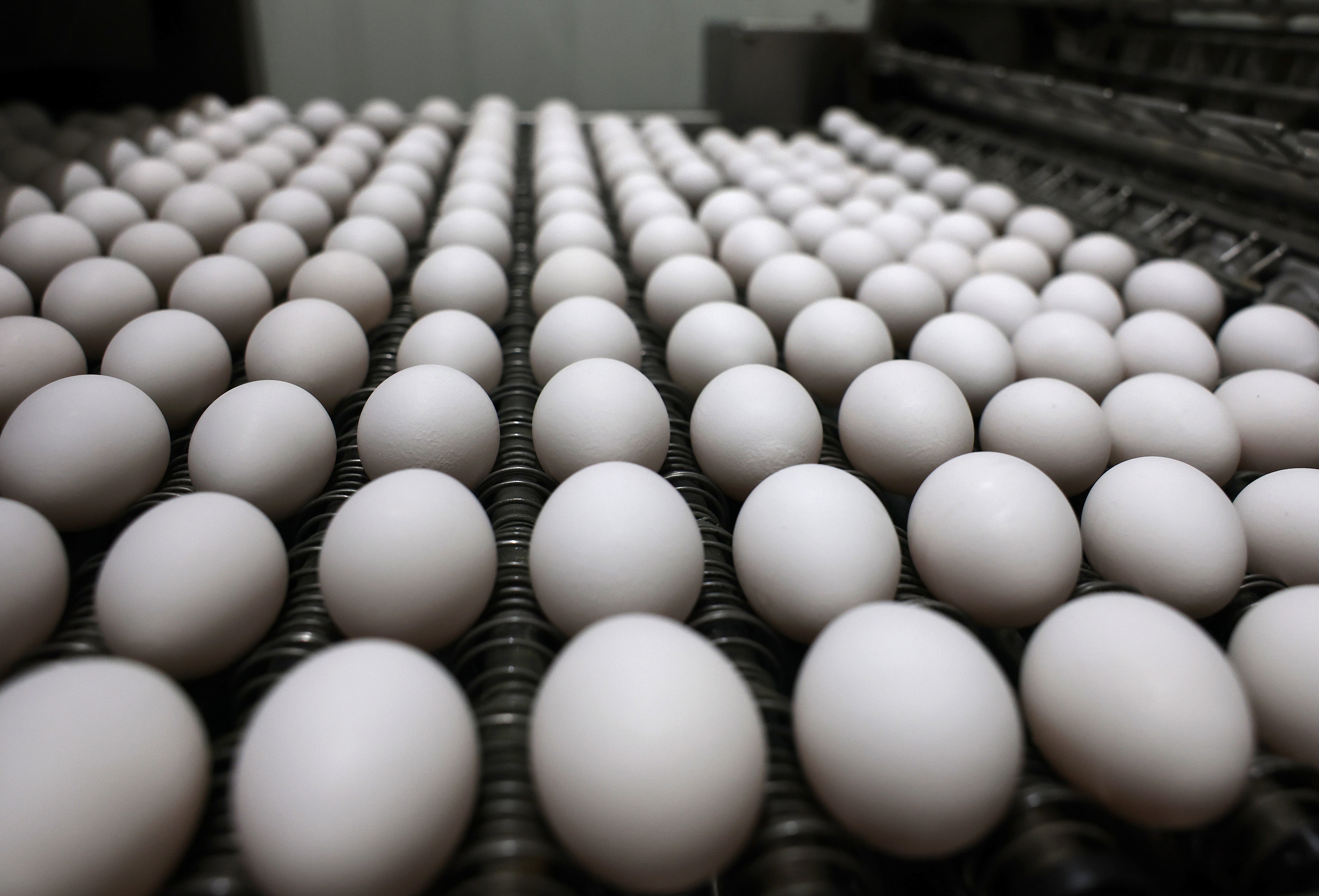 El USDA (Departamento de Agricultura de EE. UU.) prevé que el precio de los huevos suba un 41 % en el país durante 2025